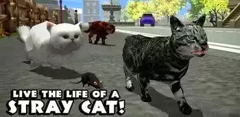 Stray Cat Simulator 1.0.4 Apk